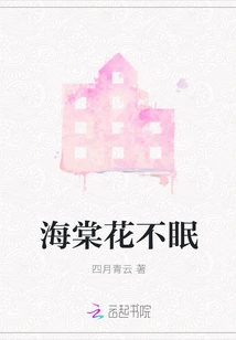 Begonia Flower Sleepless