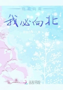 If You Go South, I Will Go North