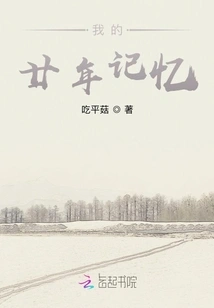 My Memory of Twenty Years