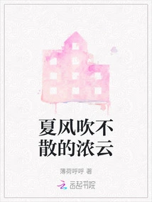 The Thick Clouds That Cannot Be Blown Away by the Summer Wind