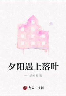 The Setting Sun Meets Fallen Leaves