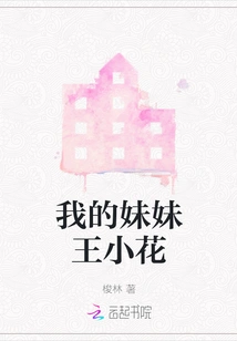 My Sister Wang Xiaohua