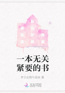 An Insignificant Book