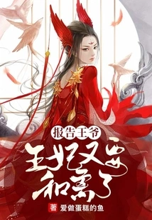 Report to the Prince That the Princess is Getting Divorced Again!