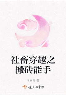 The Master of Moving Bricks Through Social Animal Time Travel