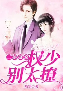 Second Marriage: Don't Be Too Flirtatious, Mr. Quan