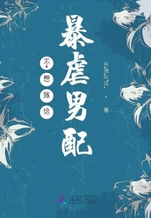 Don't Want to Marry a Violent Male Partner