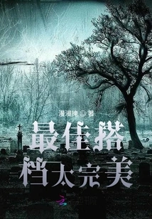 The Best Partner is Perfect