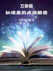 Vientiane Mirror: Decryption of Idioms in the Secret Realm