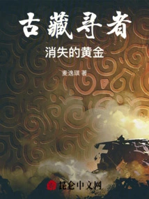 Treasure Seekers: Lost Gold