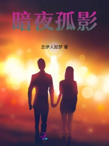 Lonely Shadow in the Dark Night