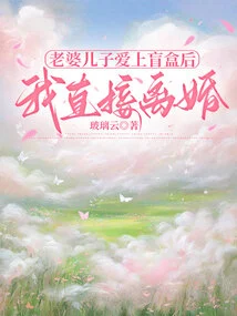 After My Wife and Son Fell in Love with the Blind Box, I Immediately Divorced