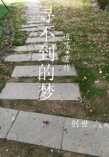 The Dream That Cannot Be Found