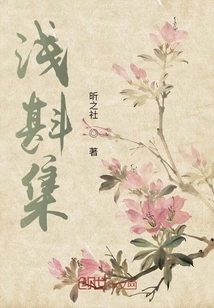 Shallow Pour Collection