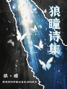 Wolf Eyes Poetry Collection