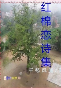 Collection of Red Cotton Love Poems