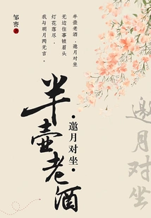 Half a Jug of Old Wine, Inviting the Moon to Sit Across from Each Other