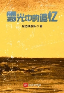 Memories in the Snow Light