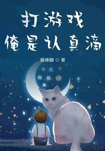 I Am Serious About Playing Games