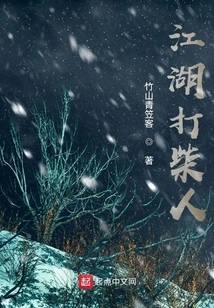 Jianghu Firewood Collector