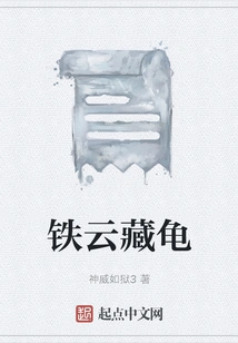 Tieyun Tibetan Turtle