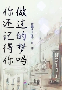 Do You Remember the Dream You Had?