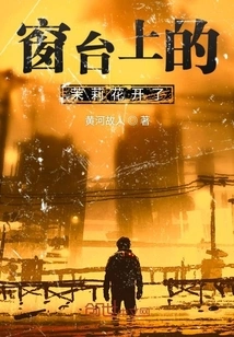 The Jasmine Flowers on the Windowsill Are Blooming