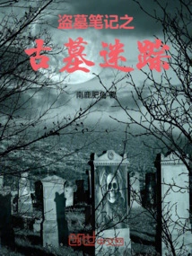 Tomb Robbery Notes: the Mystery of the Ancient Tomb