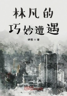 Lin Fan's Ingenious Encounter