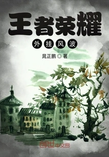 King of Glory Plug-in Controversy