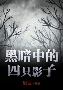 Four Shadows in the Dark