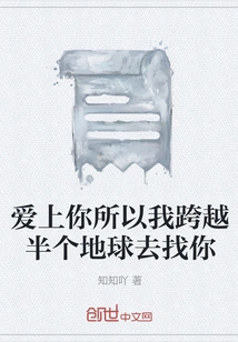 I Fell in Love with You so I Traveled Halfway Around the World to Find You