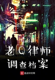 Lawyer Lao Q's Investigation Files