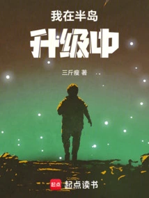 I Am Upgrading the Peninsula