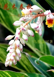 Flowers and Trees Spring and Autumn