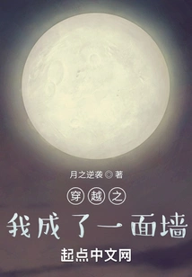 When I Traveled Through Time, I Became a Wall