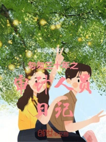 Auditor's Diary of Thirty Years in a Hurry