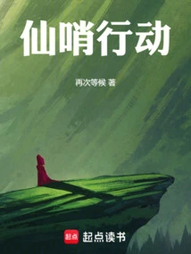 Operation Fairy Whistle