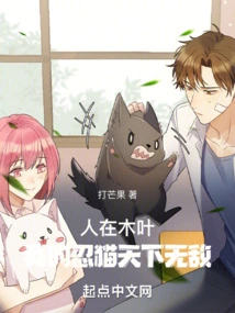 In Konoha, My Ninja Cat is Invincible!