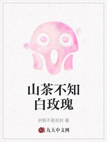 Camellia I Don't Know White Rose