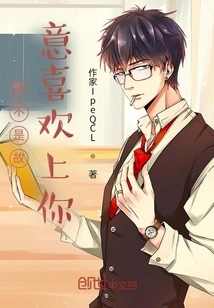 I Didn't Mean to Fall in Love with You