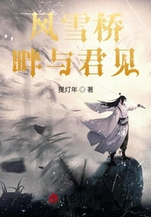 Meeting You by the Snowy Bridge