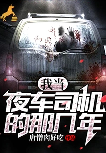 The Years I Was a Night Bus Driver