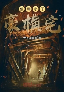 Low-key Boy's Luxurious House