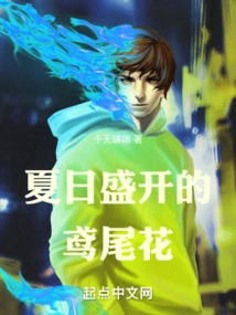 Summer Blooming Iris Flowers