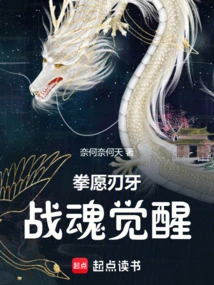 Fist Wishes: Battle Soul Awakens!