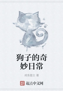 The Amazing Daily Life of a Dog