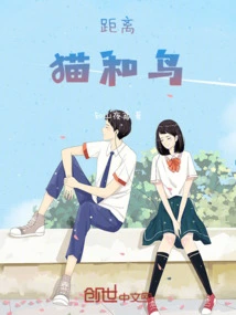 Distance, Cat and Bird