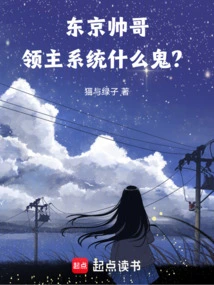 Handsome Guy from Tokyo, What the Hell is the Lord System?