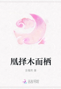 The Phoenix Chooses a Tree to Roost On